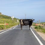 翁熄乱叫 mk77ho2wh