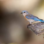 “小明福利社:探索社区福利与服务的全新文档” okkdwq5